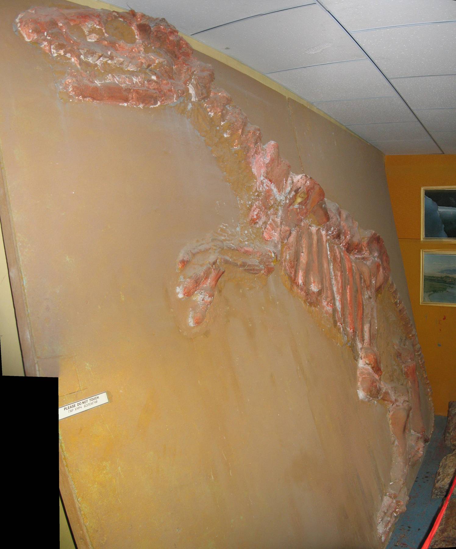 Saurier Museum 2 Panorama